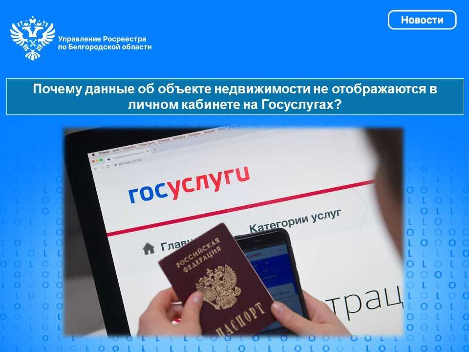 Почему данные об объекте недвижимости не отображаются в личном кабинете на Госуслугах?.
