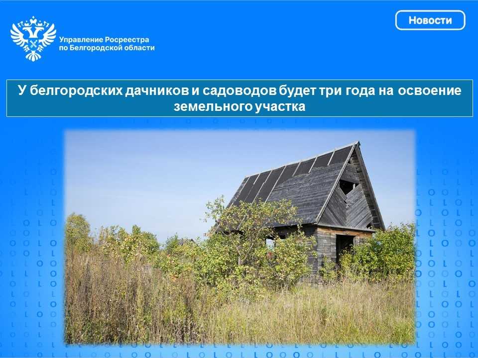 У белгородских дачников и садоводов будет три года на освоение земельного участка.