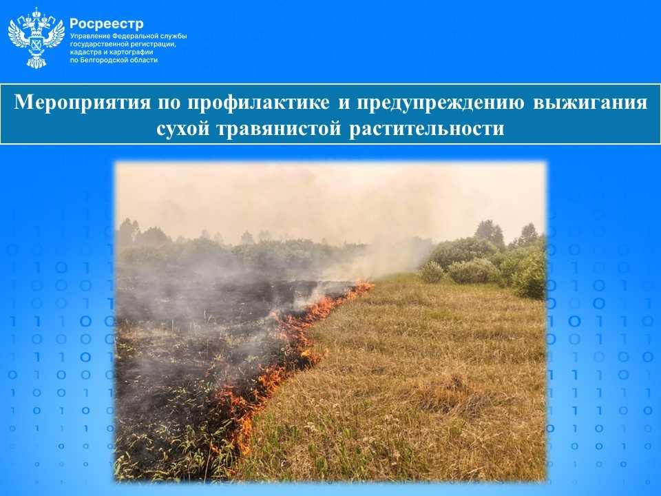 Мероприятия по профилактике и предупреждению выжигания сухой травянистой растительности.