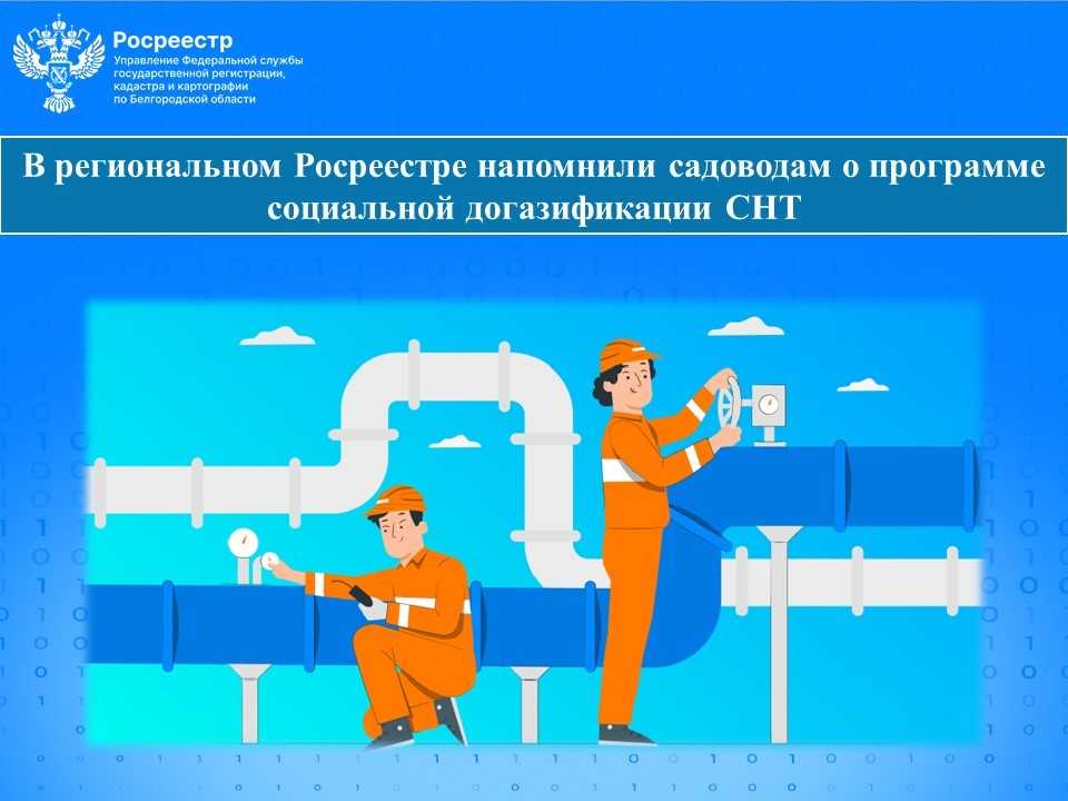В региональном Росреестре напомнили садоводам о программе социальной догазификации СНТ.