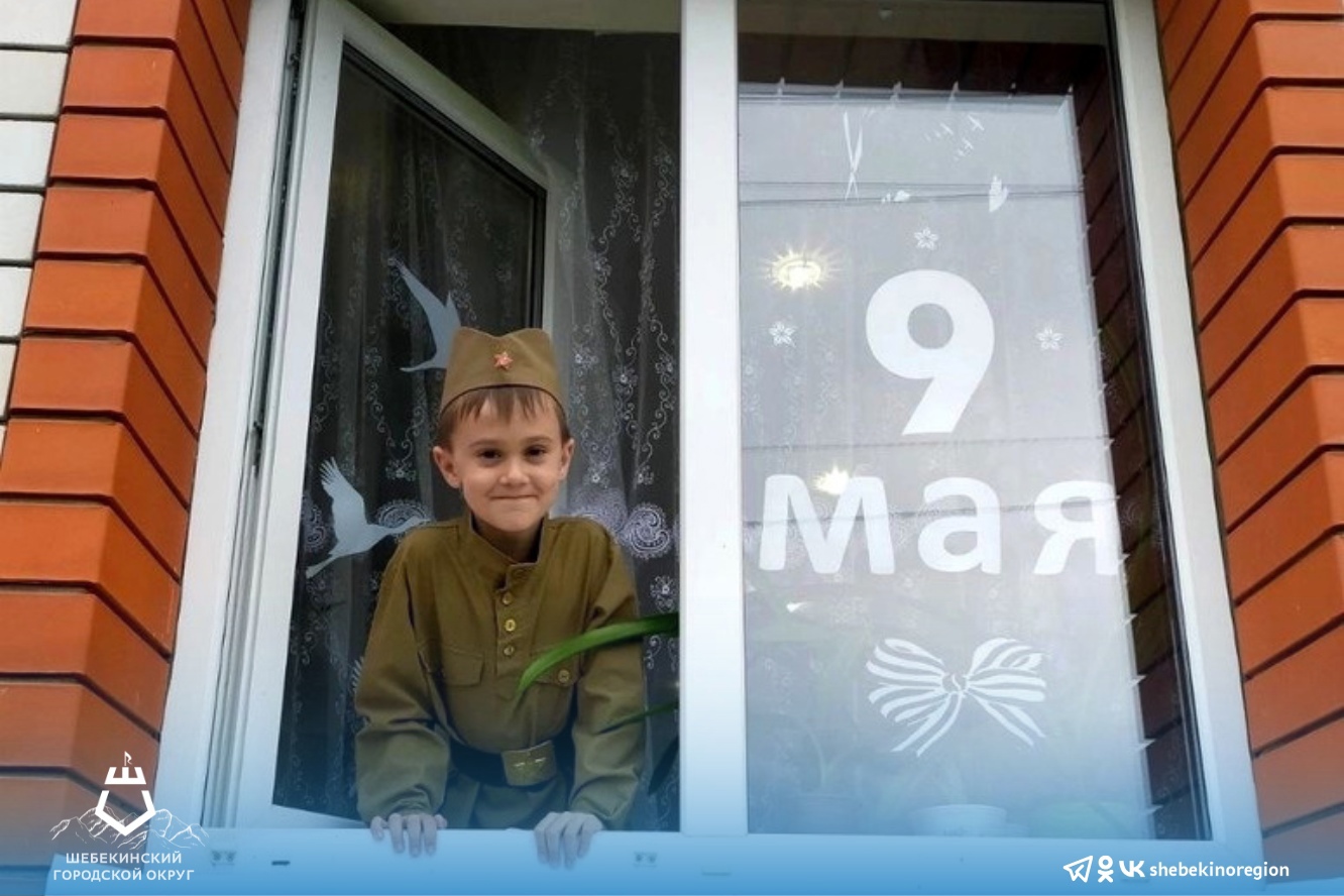 Шебекинский городской округ присоединился к патриотической акции «Окна Победы».