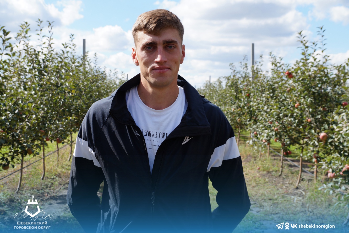 Молодой фермер Антон Лапшин занимается выращиванием яблок