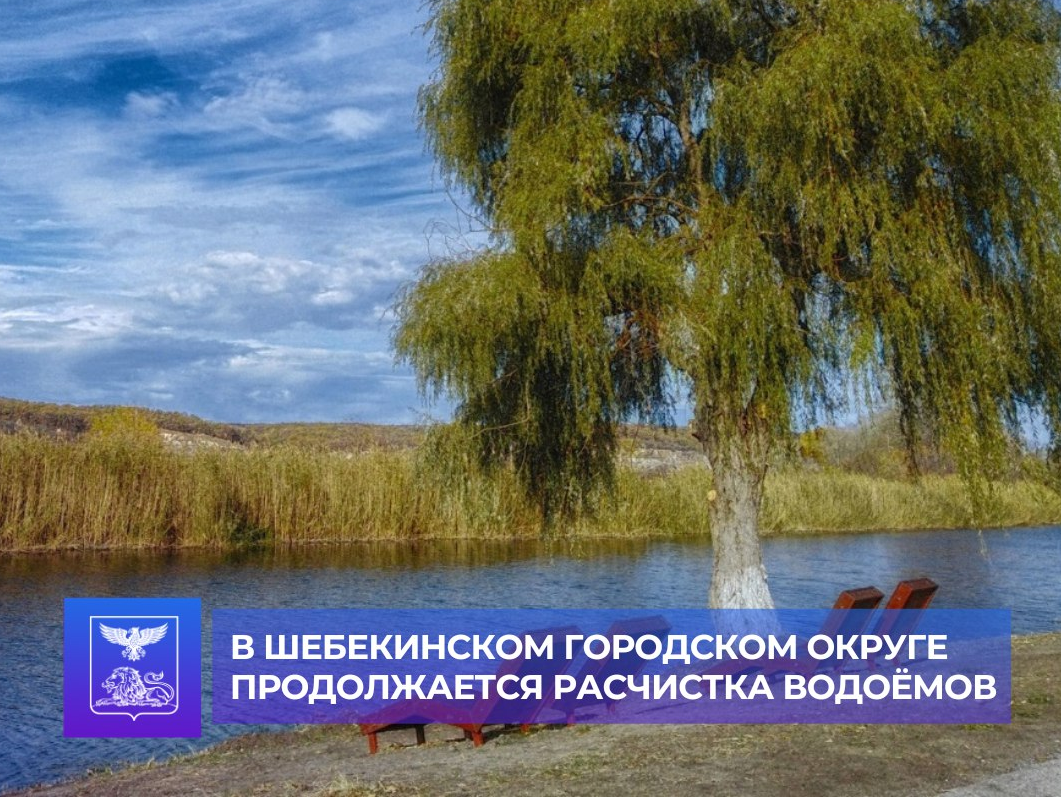 В Шебекинском городском округе продолжается работа по расчистке водоёмов.