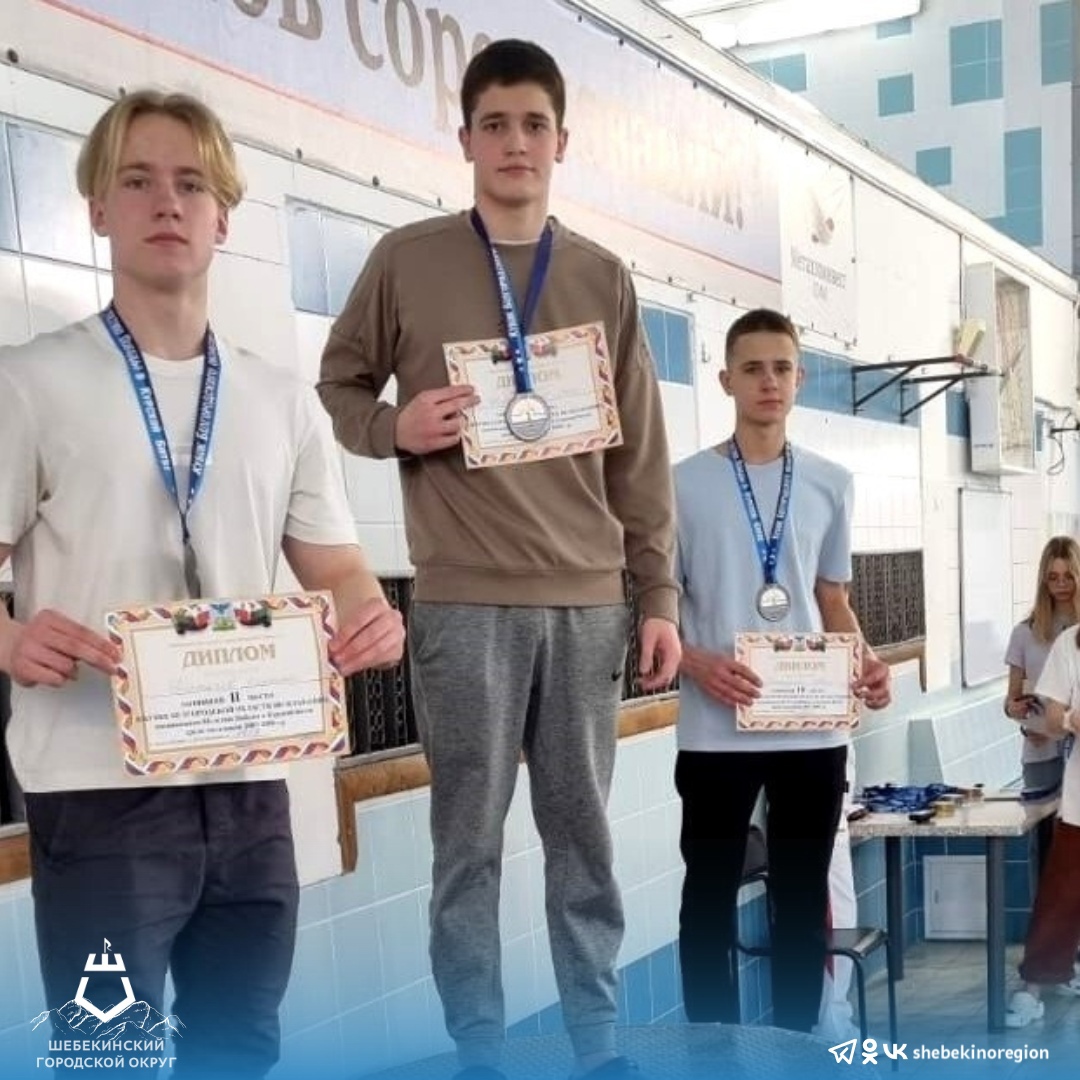 Шебекинские спортсмены стали победителями и призёрами кубка Белгородской области по плаванию