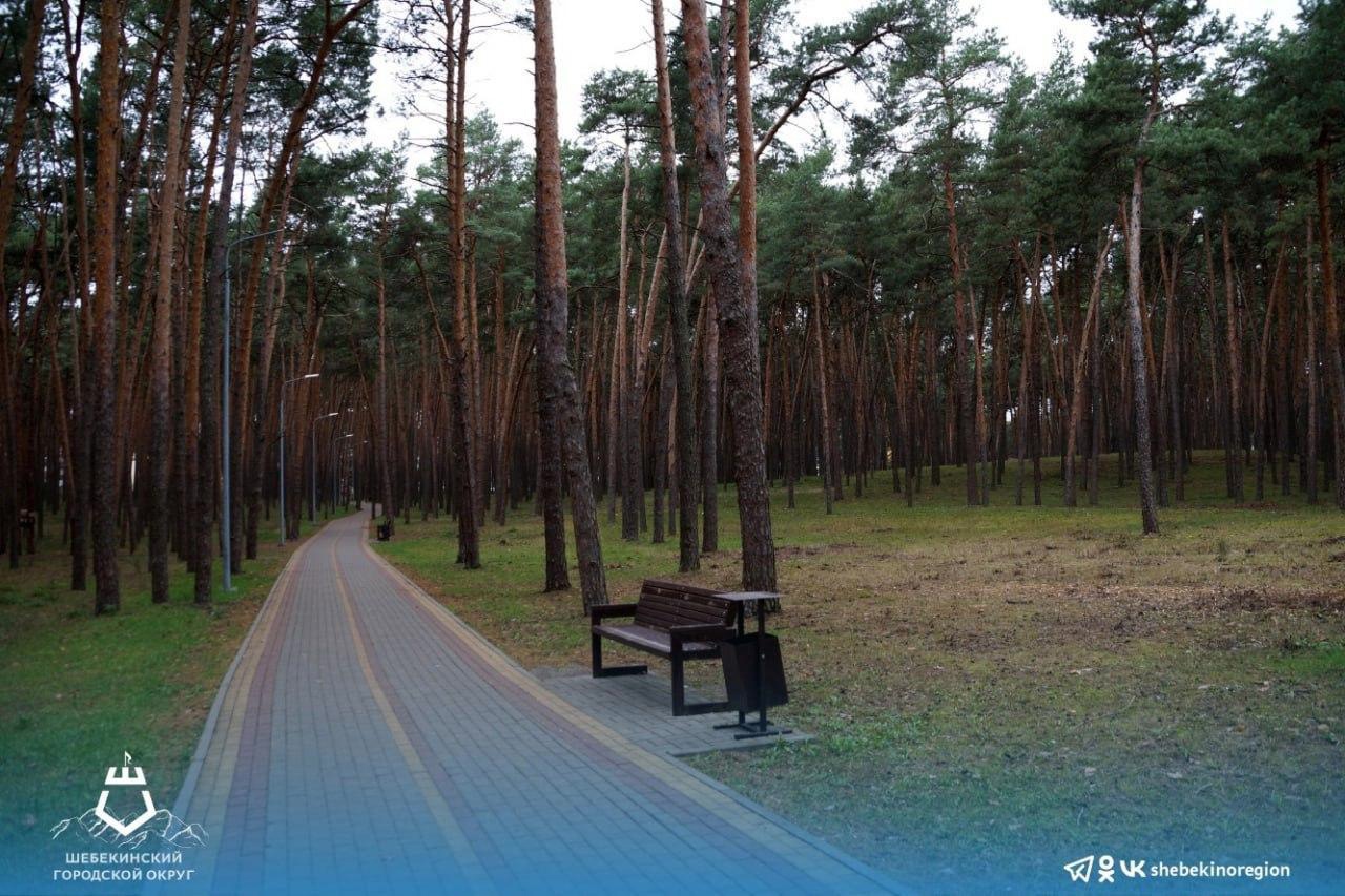 18 августа в городе Шебекино будет проводиться обработка деревьев и травы против клещей.