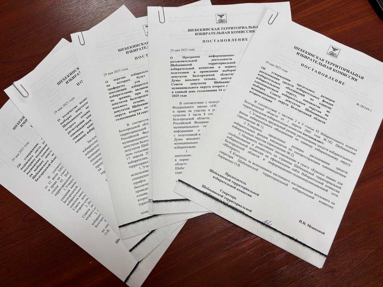 29 мая состоялось очередное заседание территориальной избирательной комиссии.