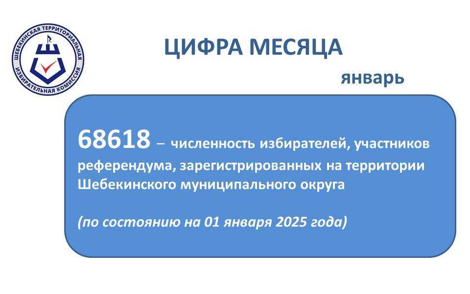 В Шебекинской ТИК прошло очередное заседание.