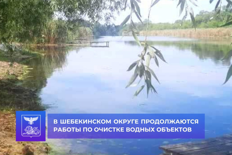 Завершились работы на участке реки Нежеголь в микрорайоне Логовое.