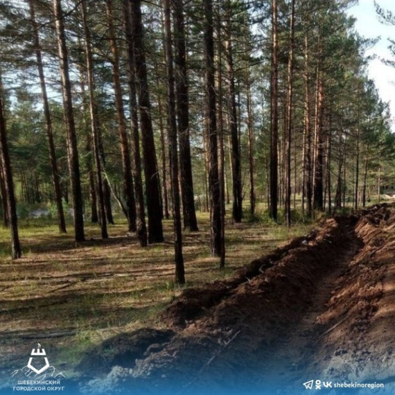 В Шебекинском городском округе действует особый противопожарный режим.