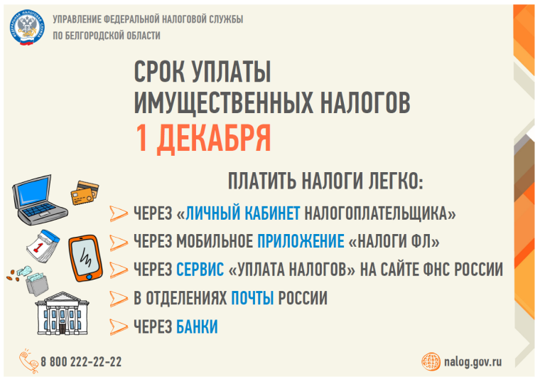 Собственники имущества начали получать налоговые уведомления на уплату имущественных налогов. Собственники имущества начали получать налоговые уведомления на уплату имущественных налогов.