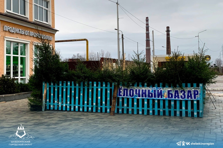 Шебекинском городском округе заработали ёлочные базары.