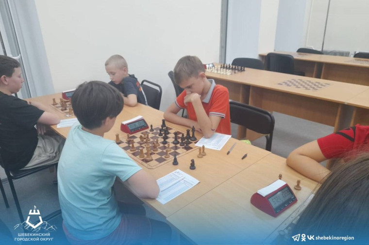Шебекинские спортсмены стали призёрами фестиваля по шахматам.
