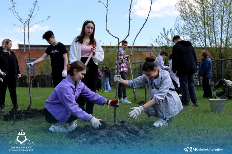 Шебекинские школьники приняли участие в патриотической акции «Сад памяти».