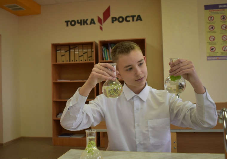 На базе Центра образования естественно-научного и технологического профилей «Точка роста», который функционирует в школе села Ржевка, состоялось тематическое мероприятие для учащихся..