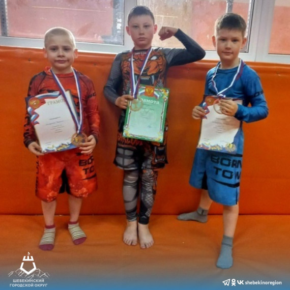 Шебекинские спортсмены стали призёрами турниров по грэпплингу и смешанному боевому единоборству.