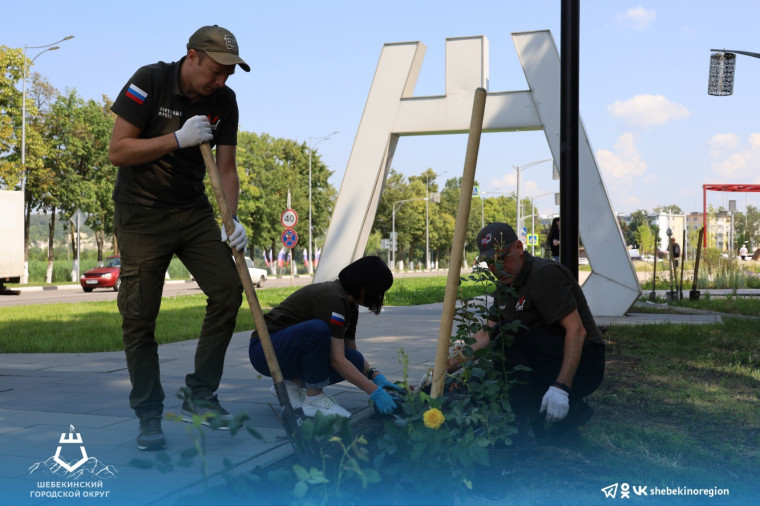 На Аллее трудовой славы высадили 100 кустов роз, переданных городу по инициативе Общероссийского Народного Фронта.