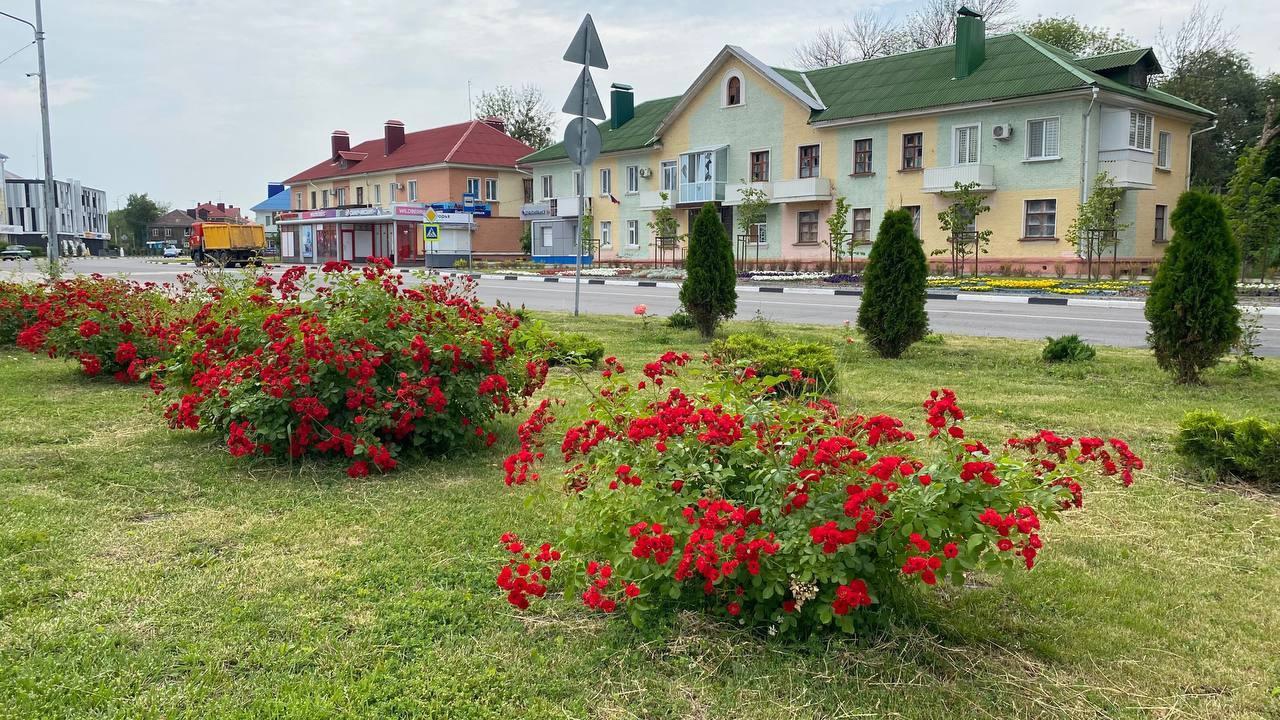 В городе продолжаются работы по благоустройству территории | 23.06.2023 |  Шебекино - БезФормата