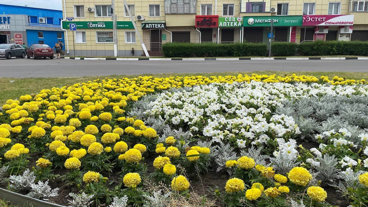 В городе продолжаются работы по благоустройству территории | 23.06.2023 |  Шебекино - БезФормата